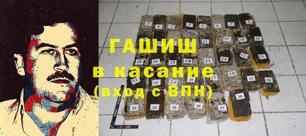 трава Гусиноозёрск