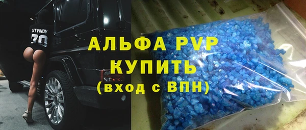 мдпв Кирсанов