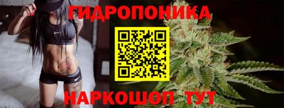 ECSTASY Гусь-Хрустальный