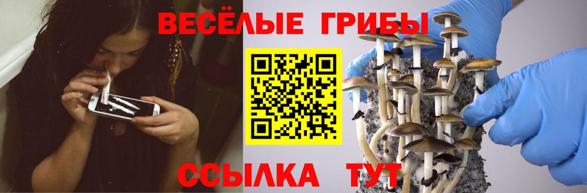 Псилоцибиновые грибы мицелий  Галлюциногенные грибы GOLDEN TEACHER  Еманжелинск  Вход с VPN 